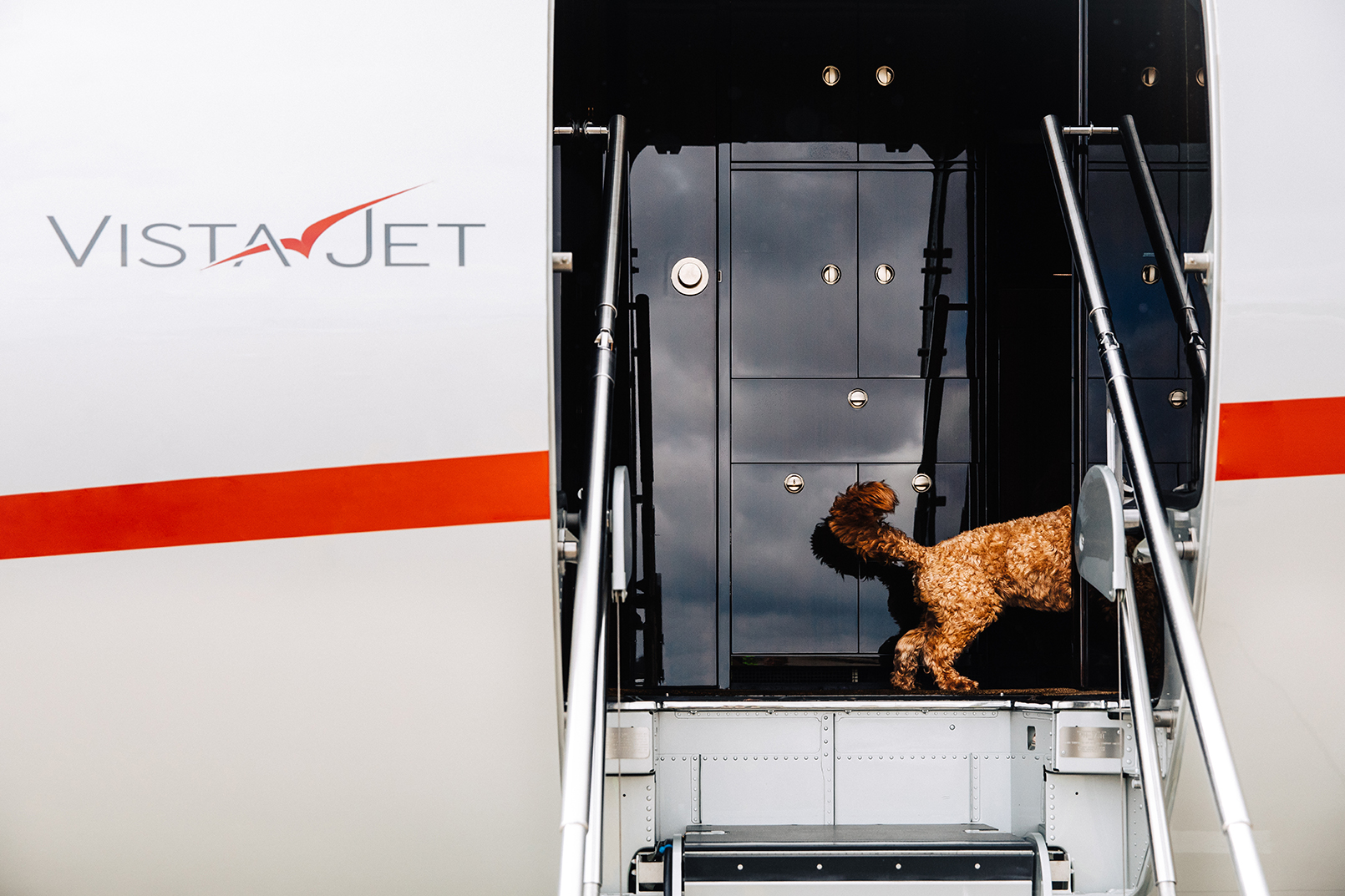 vistajet-launches-global-pet-travel-program