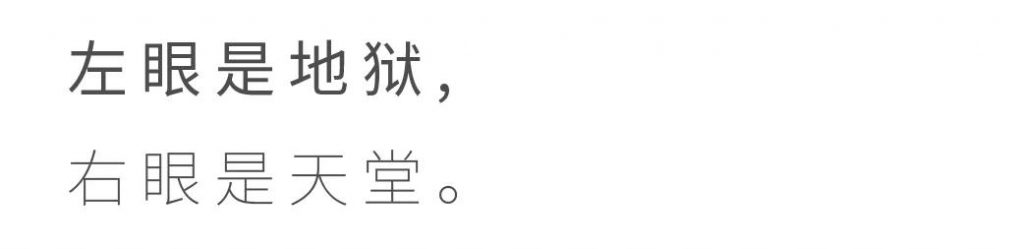 環(huán)球飛行06- 維思達公務(wù)機