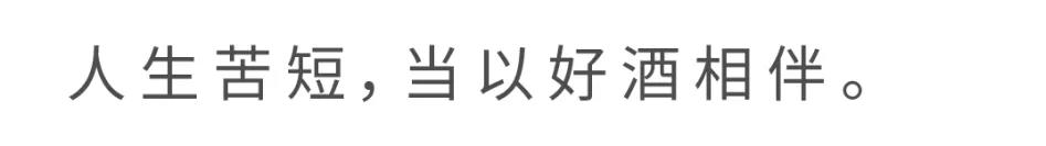 環(huán)球飛行法國03- 維思達(dá)公務(wù)機(jī)