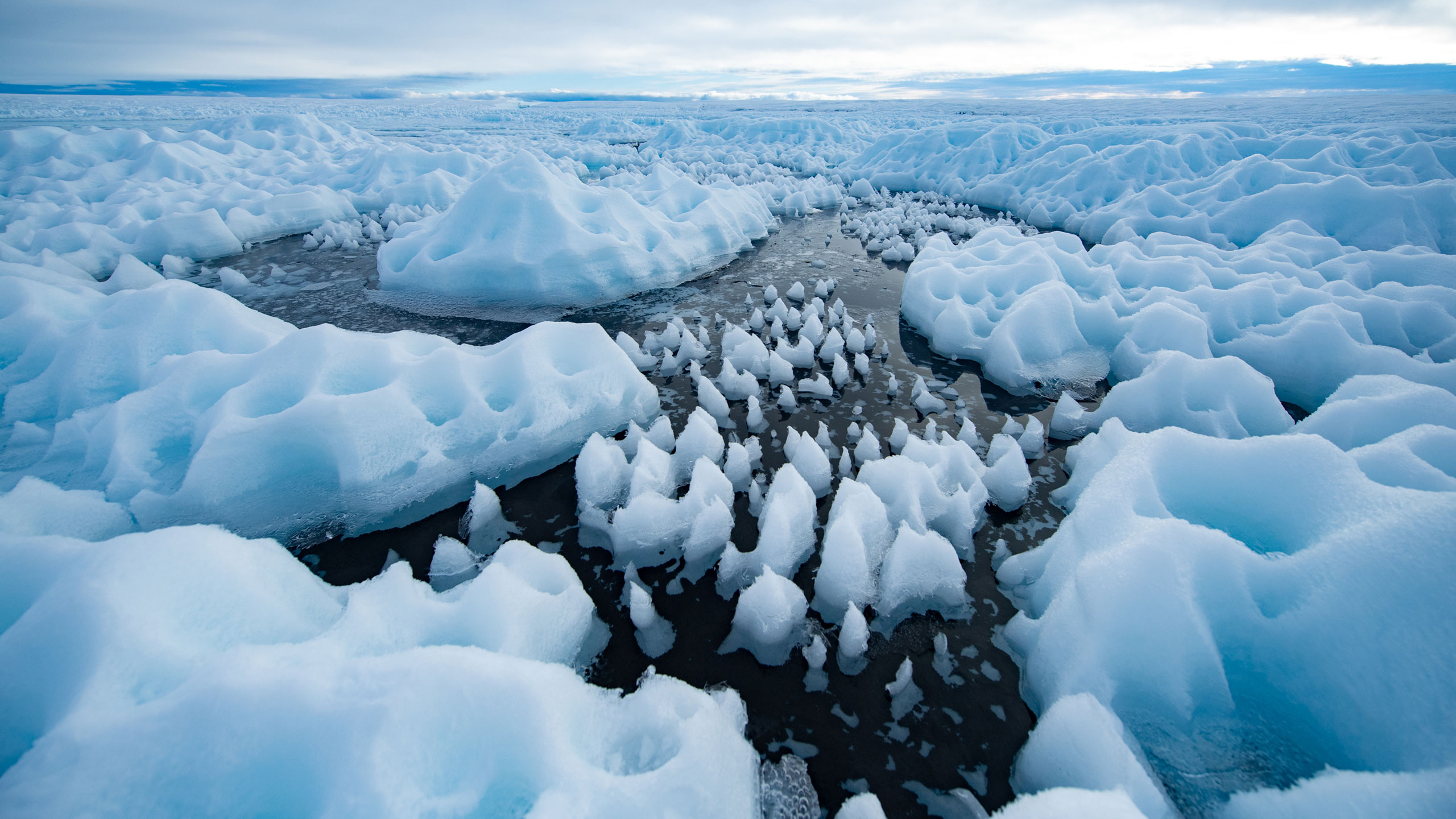 Antarctica