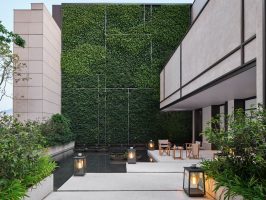asaya-courtyard-garden_high-res-3cn2vzo53g6swhrviedhj4.jpg